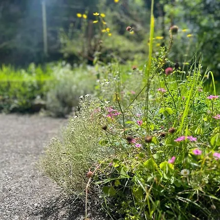 بيت للعطل La Maison De Fanlou *