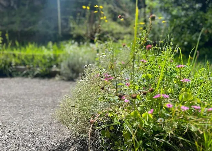 Hébergement de vacances La Maison De Fanlou *